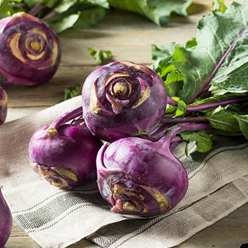 Kohlrabi