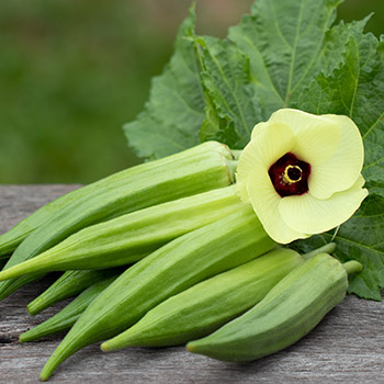 Okra