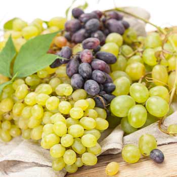 Viinapuud magustoiduks