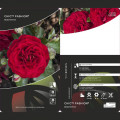 Floribunda roos Chic™ Fashion ®, С3 interface.image 3 interface.art 6172