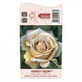 Floribunda roos Honey Dijon®, C5 interface.image 3 interface.art 6144