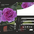 Floribunda roos Adore Aroma®, С3 interface.image 3 interface.art 2065