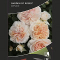 Floribunda roos Garden of Roses ®, C5 interface.art foto 2 Floribunda roos Garden of Roses ®, C5 interface.image 2 interface.art 5822