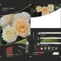 Floribunda roos Lemon™ Vaza ®, С5 interface.image 2 interface.art 4989