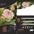 Roniroos Eden Rose ®, C3 interface.image 3 interface.art 4559