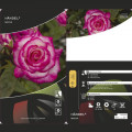 Roniroos Händel ®, С3 interface.art foto 3 Roniroos Händel ®, С3 interface.image 3 interface.art 6179