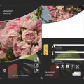 Roniroos Jasmina ®, С5 interface.art foto 3 Roniroos Jasmina ®, С5 interface.image 3 interface.art 6180