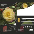 Roniroos Moonlight ®, С5 interface.art foto 3 Roniroos Moonlight ®, С5 interface.image 3 interface.art 6181