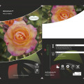 Roniroos Redova ®, С5 interface.art foto 3 Roniroos Redova ®, С5 interface.image 3 interface.art 6182