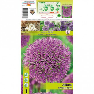 Allium (küüslauk) Ambassador interface.image 3