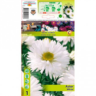 Aster Novi-Belgii White interface.image 2