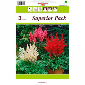 Astilbe Mixed interface.image 6