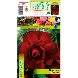 Begoonia Double Dark Red interface.image 5