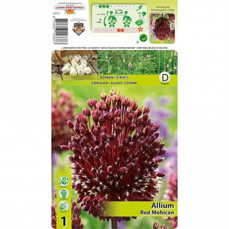 Dekoratiivne küüslauk (Allium) Red Mohican interface.image 5