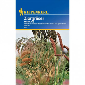 Dekoratiivsed kõrrelised interface.image 5