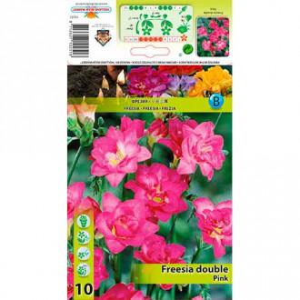 Freesia Double Pink interface.image 5
