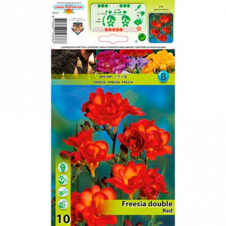 Freesia Double Red interface.image 6