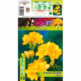 Freesia Double Yellow interface.image 3