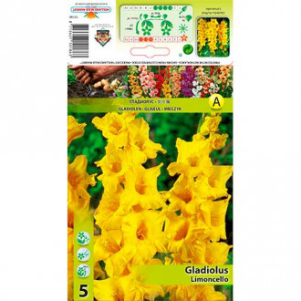 Gladiool Limoncello interface.image 6