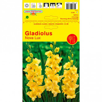 Gladiool Nova Lux foto 17 Gladiool Nova Lux interface.image 17