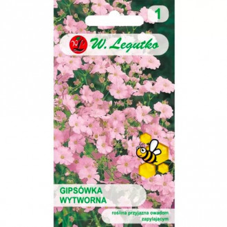 Gypsophila elegantne roosa Legutko interface.image 3