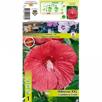 Hibisk XXL Cranberry Crush interface.image 6