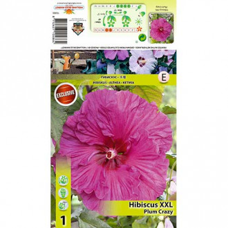 Hibisk XXL Plum Crazy interface.image 4