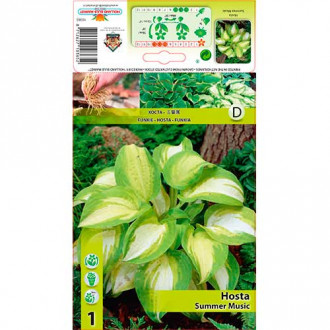 Hosta Summer Music interface.image 6