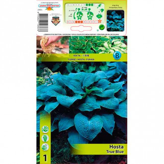 Hosta True Blue interface.image 6