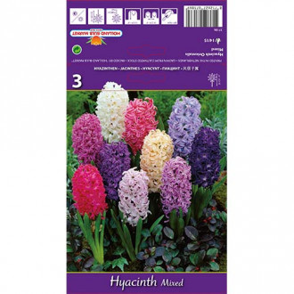 Hyacinth Spring Palette, segu interface.image 5