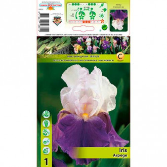 Iiris Arpege interface.image 4