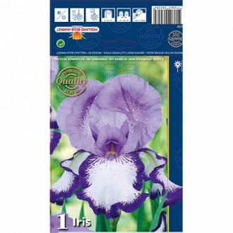 Iiris On Edge interface.image 1