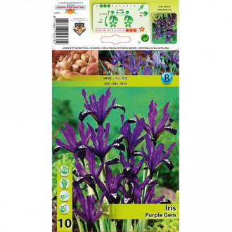 Iiris Purple Gem interface.image 6