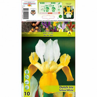 Iiris White-Yellow interface.image 1