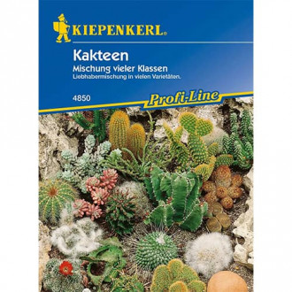 Kaktused, segu Kiepenkerl interface.image 3