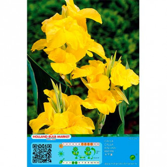 Kanna Yellow interface.image 5