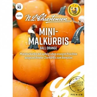 Kõrvitsad Ball Orange interface.image 6