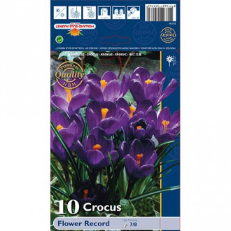 Krookuse Flower Record interface.image 6