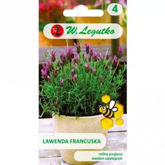 Lavendel prantsuse keel Legutko interface.image 3