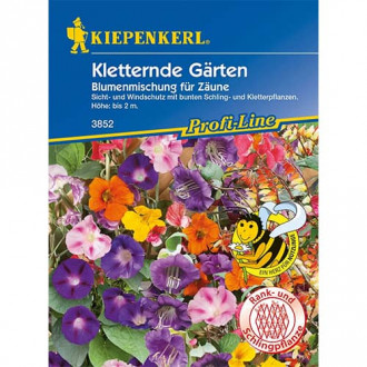 Lillesegu Blumenmischung Kletternde Gärten interface.image 1