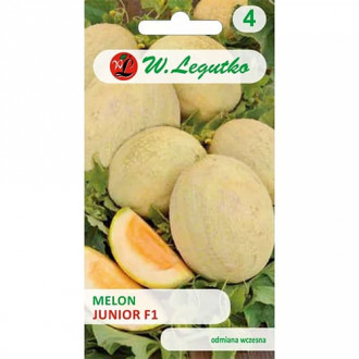 Melon Junior F1 interface.image 1