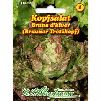 Peasalatid Brune d'hiver interface.image 2