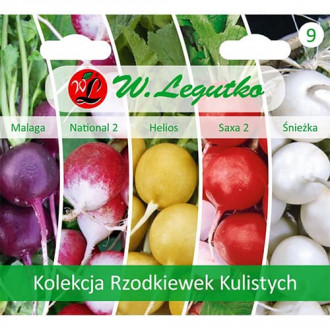 Radish Ball kollektsioon interface.image 3