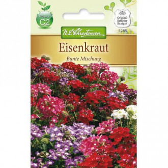 Raudürt Colorfull, segu interface.image 5