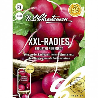 Redised XXL-Radies Erfurter Riesenrot Saatband interface.image 4