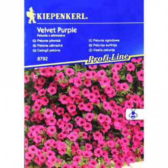 Rõdupetuuniad Velvet Purple F1 Kiepenkerl interface.image 6