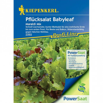 Salat Pflücksalat Babyleaf Maraldi Mix PowerSaat interface.image 1