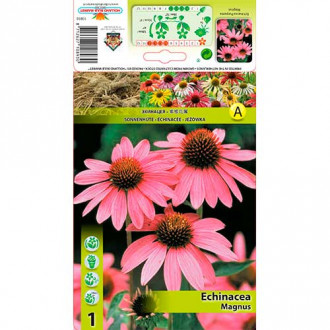 Siilkübar (Echinacea) Magnus interface.image 5