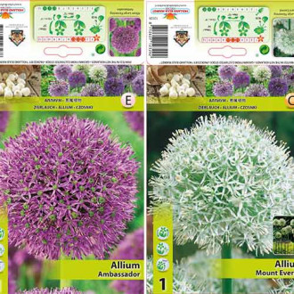 Suurepärane pakkumine! Dekoratiivsed sibulad (Allium), 2 sordi komplekt interface.image 5