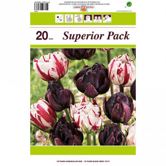 Suurepärane pakkumine! Tulip loop Magic Color, 2 sordi komplekt interface.image 5